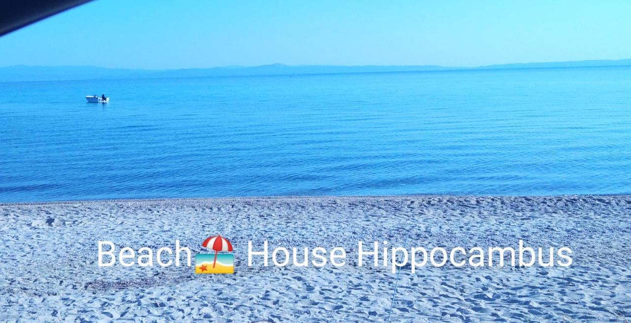 Hippocampus Beach House Поліхроно Екстер'єр фото
